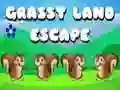 Grassy Land Escape