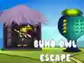 Игра Побег филина онлайн