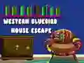 Игра Западная птица Побег из дома онлайн Игра Западная птица Побег из дома онлайн