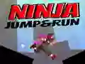 Ninja Jump & Run