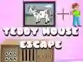 Teddy House Escape