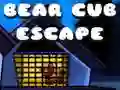 Bear Cub Escape