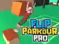 Игра Обратный паркур Профессионал онлайн