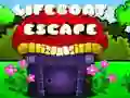 Lifeboat Escape