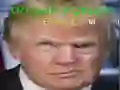 Trump Funny face 