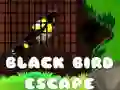 Игра Побег черной птицы онлайн