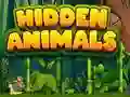 Hidden Animals