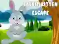 Игра Побег малыша кролика онлайн