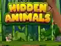 Hidden Animals