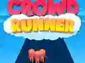 Crowd Runner