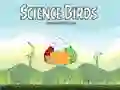 Игра Научные птицы онлайн Игра Научные птицы онлайн