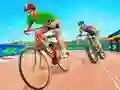 Игра Велосипедная гонка онлайн Игра Велосипедная гонка онлайн
