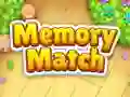 Memory Match