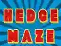 Игра Лабиринт из живой изгороди онлайн