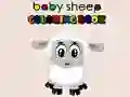Baby sheep ColoringBook