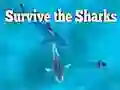 Игра Выжить среди акул онлайн Игра Выжить среди акул онлайн