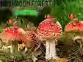 Mushroom Forest Adventure