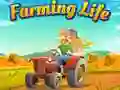 Игра Фермерская жизнь онлайн