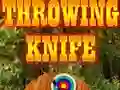 Игра Метательный нож онлайн