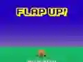 Flap Up