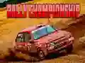 Игра Чемпионат по ралли онлайн Игра Чемпионат по ралли онлайн