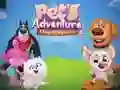Pets Adventure A Day To Remember