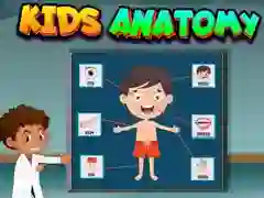 Игра Детская анатомия онлайн