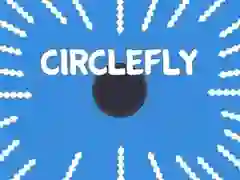 Игра Круговой полет онлайн