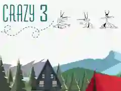 Crazy 3