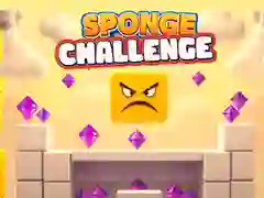 Sponge Challenge