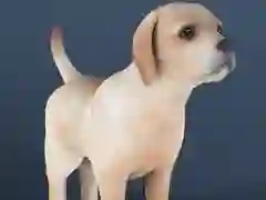 Игра Домашний питомец онлайн Игра Домашний питомец онлайн