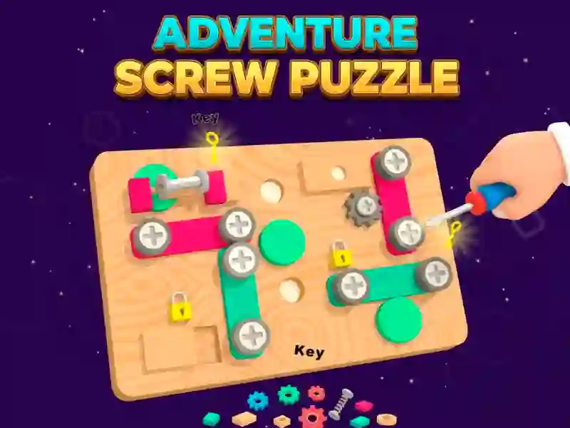 Adventure Screw Puzzle