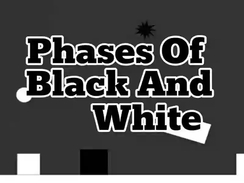 Игра Фазы черного и белого онлайн Игра Фазы черного и белого онлайн