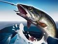 Игра Подледная рыбалка 3D онлайн
